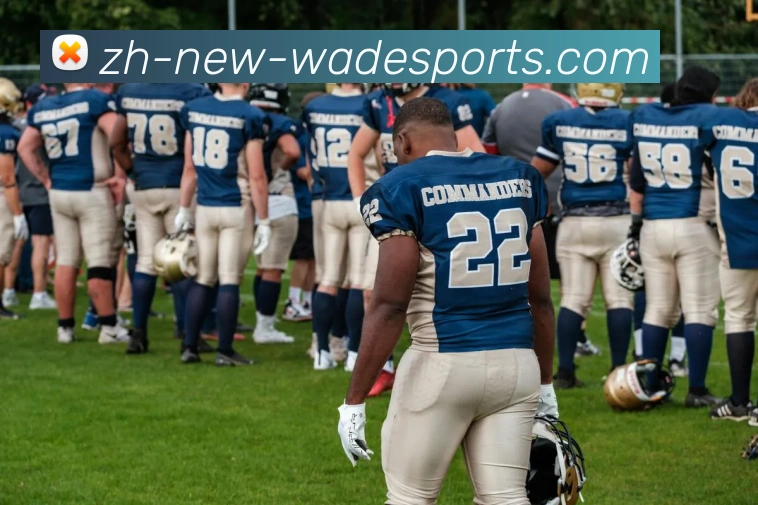 足球篮球平台生态图